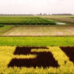 New Laboratory Building Will Boost LSU AgCenter Research Capacity