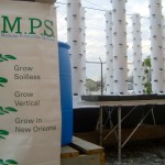 The AMPS installation is already producing greens for sale at the Hollygrove Market. Photo courtesy of Marianne Cufone of the Recirculating Farms Coalition.