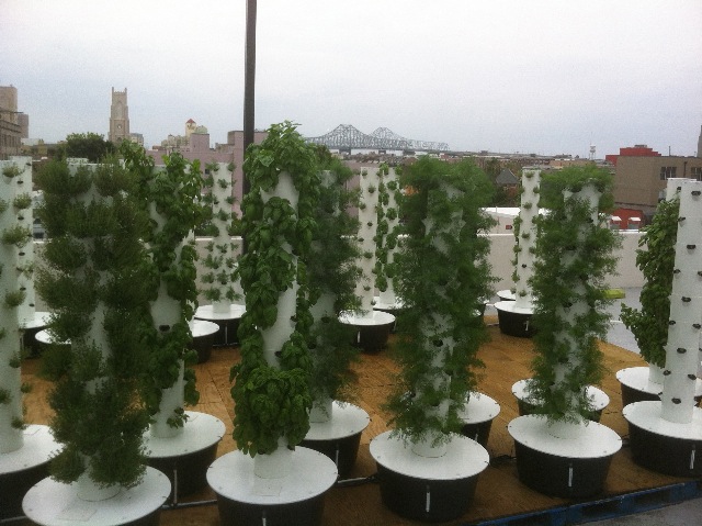 Sustainable Aeroponic Rooftop Garden Created Above ...